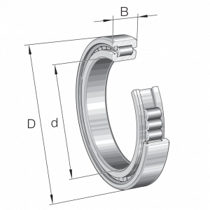 SL1818/950-E-TB | Precision Cylindrical Roller Bearings