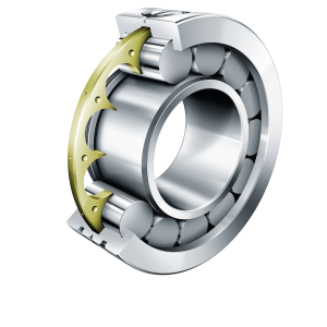 LSL192322-TB-XL | Precision Cylindrical Roller Bearings