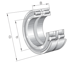 SL04100-D-PP | Precision Cylindrical Roller Bearings