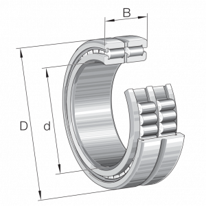 SL185020-A-XL-C3 | Precision Cylindrical Roller Bearings