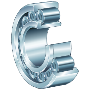 SL192320-TB-XL-BR | Precision Cylindrical Roller Bearings