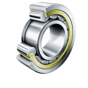 NJ421-XL-M1 | Precision Cylindrical Roller Bearings