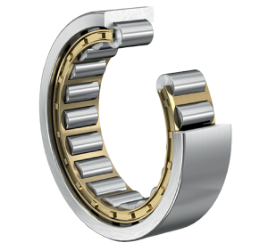 RNU1056-M1 | Precision Cylindrical Roller Bearings