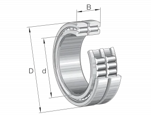 SL185038-TB | Precision Cylindrical Roller