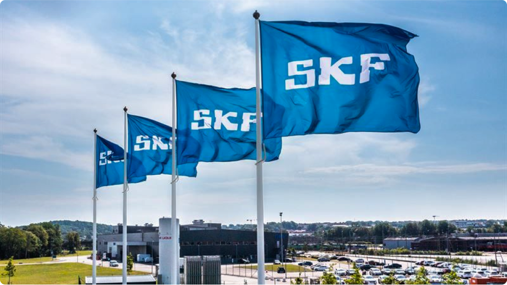 SKF bearing company