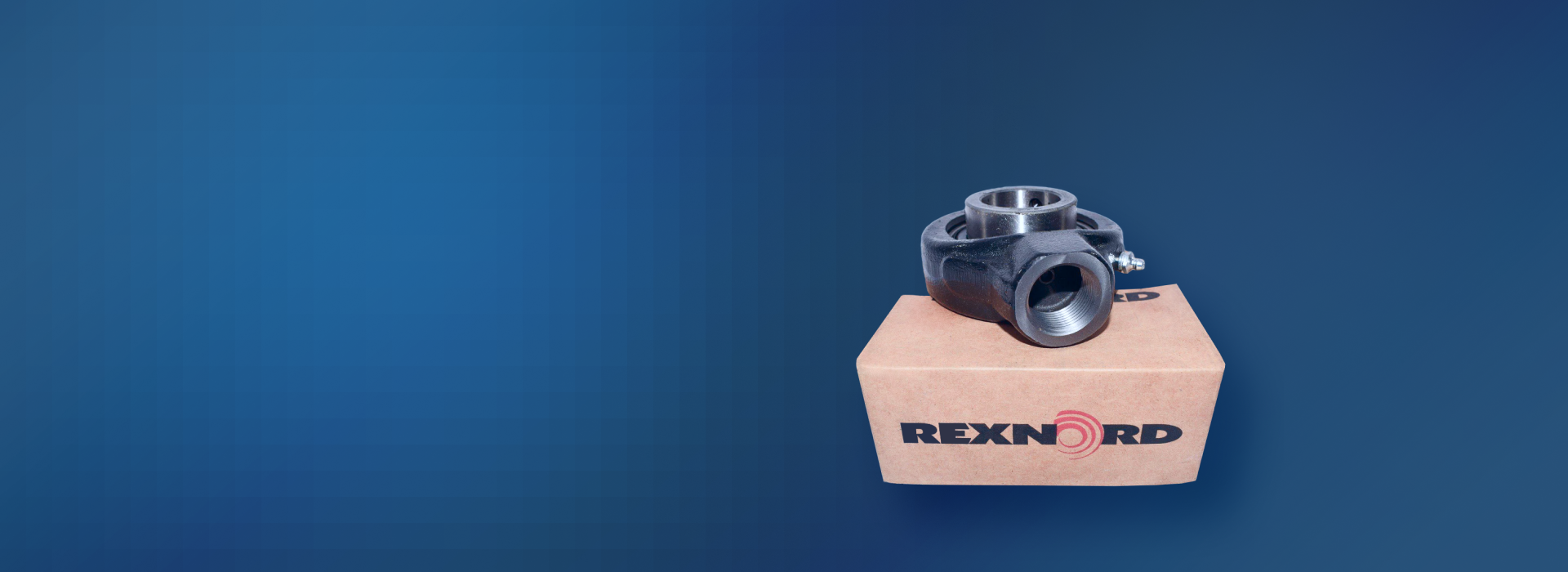Rexnord Bearings cover