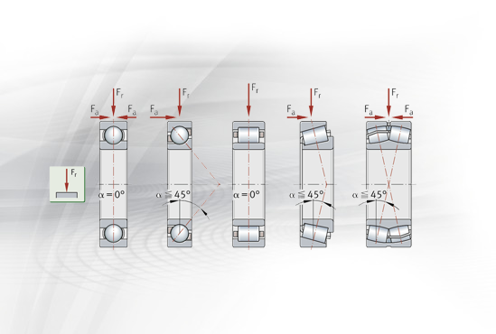 Schaeffler Bearing types