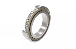 N1017-K-TR-PVPA1-SP | Precision Cylindrical Roller Bearings