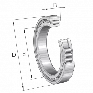 SL183015-A-XL-C3 | Precision Cylindrical Roller Bearings