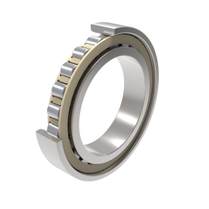 N1016-K-PVPA1-SP | Precision Cylindrical Roller Bearings