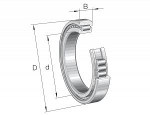 SL182956-B-C3 | Precision Cylindrical Roller Bearings