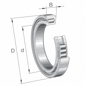SL182919-B-XL | Precision Cylindrical Roller Bearings