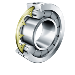 LSL192324-TB-XL | Precision Cylindrical Roller Bearings