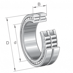 SL024920-A-C3 | Precision Cylindrical Roller Bearings