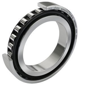 N1020-D-K-TVP-SP-XL | Precision Cylindrical Roller Bearings