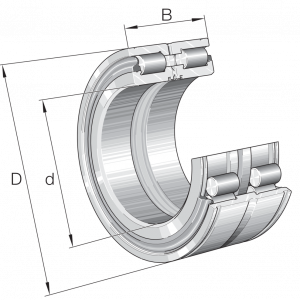 SL04100-D-PP | Precision Cylindrical Roller Bearings