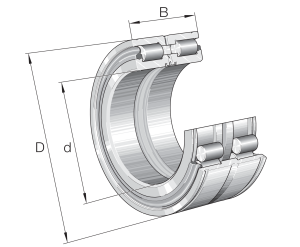 SL045036-D-PP | Precision Cylindrical Roller Bearings