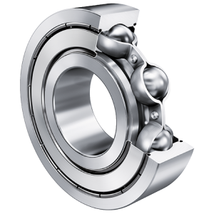 6004-C-2Z-C2 | Radial Ball Bearings