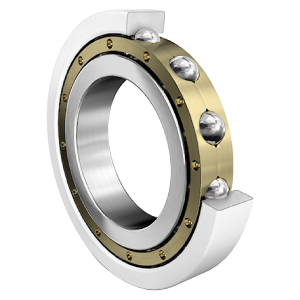 6319-M-J20AA-C4 | Radial Ball Bearings
