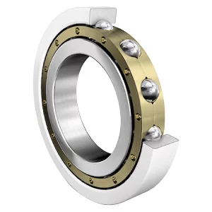 6334-M-J20AA-C4 | Radial Ball Bearings