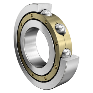 6219-MA-P5-S1 | Radial Ball Bearings