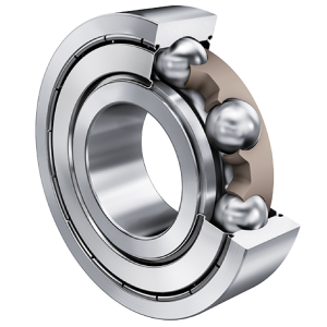6004-C-2Z-TVH-C2 | Radial Ball Bearings