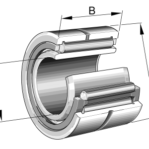 NKIS100 | Needle Roller Bearings