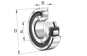 20206-K-TVP-C3 | Bearings